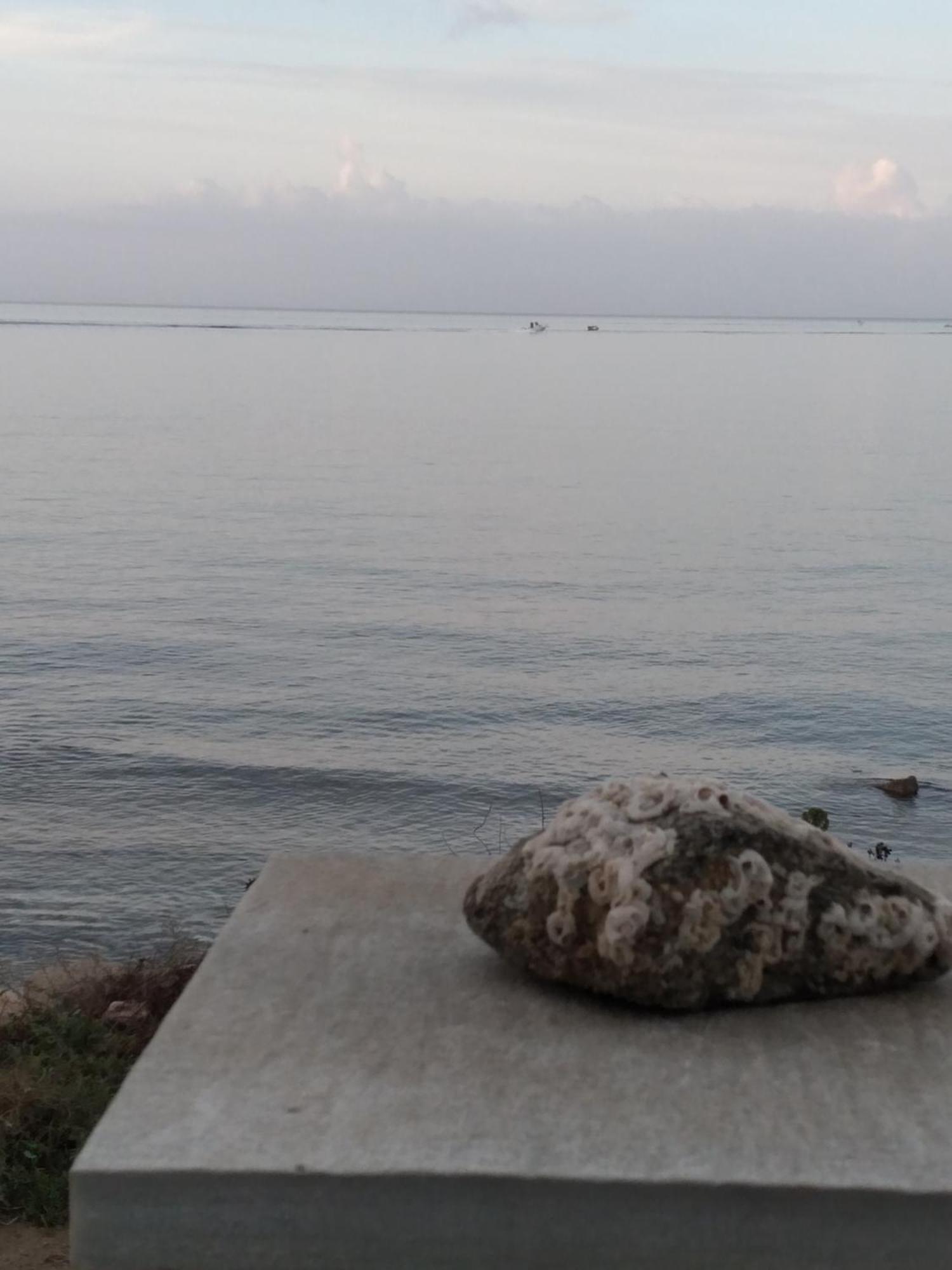 Albatross Seafront House Apartment Naxos City Екстериор снимка